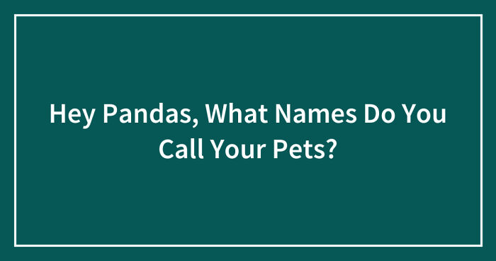 Hey Pandas, What Names Do You Call Your Pets? (Closed)