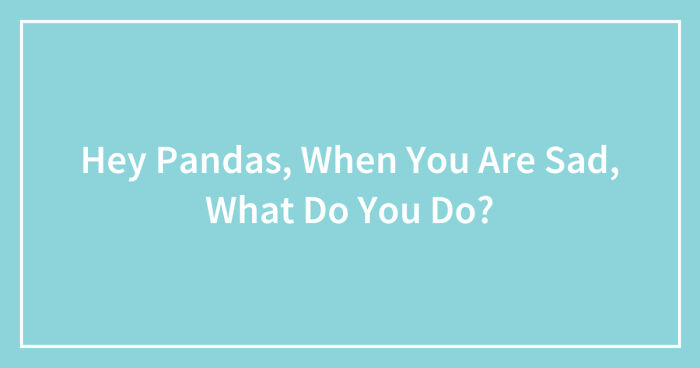 Hey Pandas, When You Are Sad, What Do You Do? (Closed)