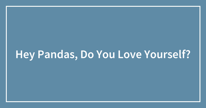 Hey Pandas, Do You Love Yourself? (Closed)