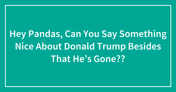 Hey Pandas, Can You Say Something Nice About Donald Trump Besides That He’s Gone??