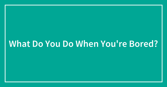 What Do You Do When You’re Bored?