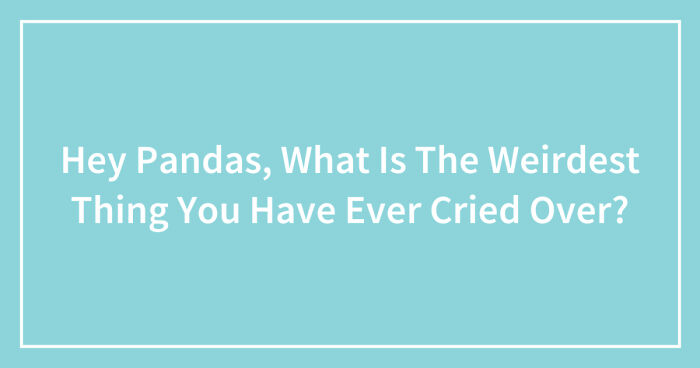 Hey Pandas, What Is The Weirdest Thing You Have Ever Cried Over? (Closed)