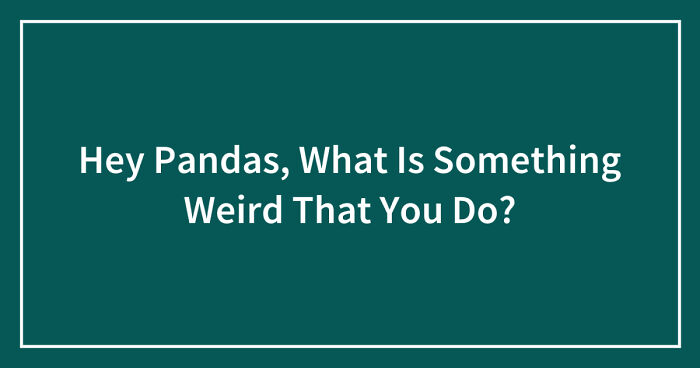 Hey Pandas, What Is Something Weird That You Do? (Closed)