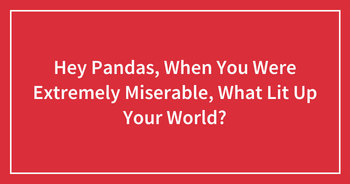 Hey Pandas, When You Were Extremely Miserable, What Lit Up Your World? (Closed)