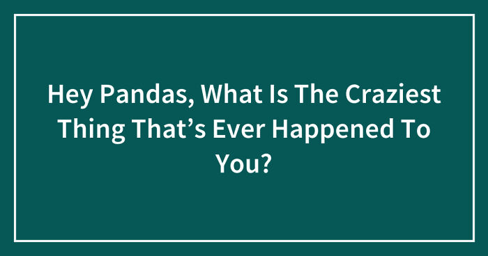 Hey Pandas, What Is The Craziest Thing That’s Ever Happened To You? (Closed)
