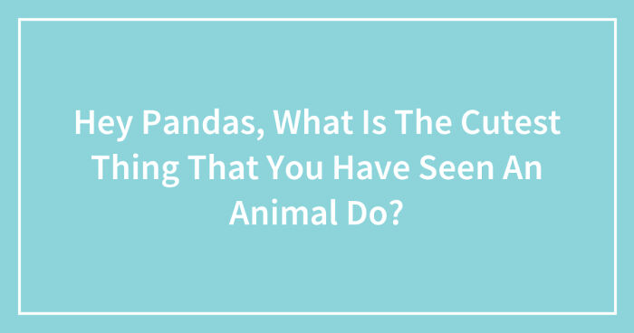 Hey Pandas, What Is The Cutest Thing That You Have Seen An Animal Do? (Closed)