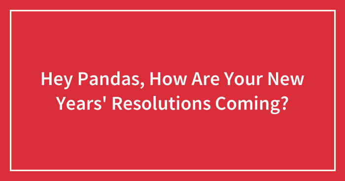 Hey Pandas, How Are Your New Years’ Resolutions Coming? (Closed)