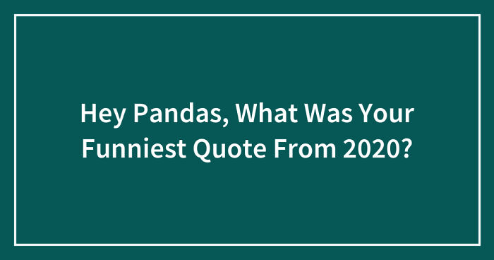 Hey Pandas, What Was Your Funniest Quote From 2020? (Closed)