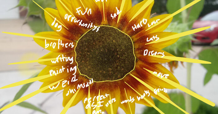 Pandas, Draw Your Life In One Picture (Closed)