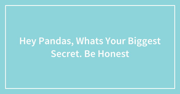Hey Pandas, Whats Your Biggest Secret. Be Honest