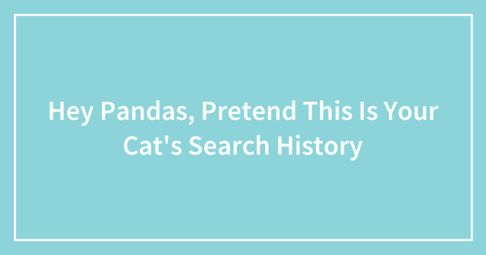 Hey Pandas, Pretend This Is Your Cat’s Search History (Closed)