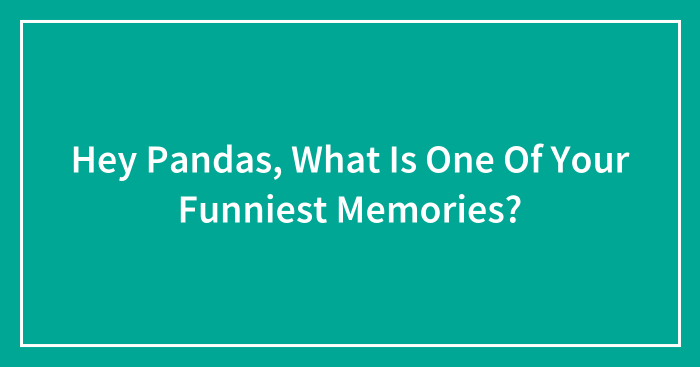Hey Pandas, What Is One Of Your Funniest Memories? (Closed)