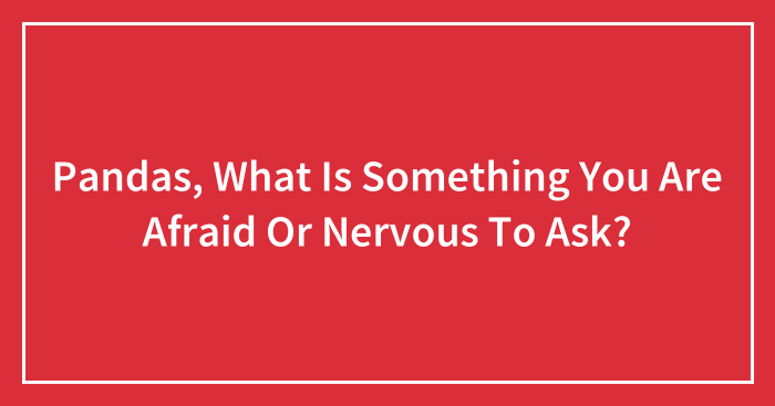 Pandas, What Is Something You Are Afraid Or Nervous To Ask? (Closed)