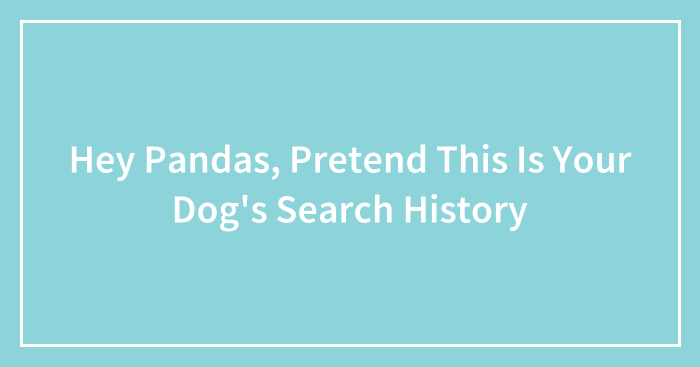 Hey Pandas, Pretend This Is Your Dog’s Search History (Closed)