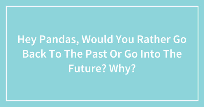 Hey Pandas, Would You Rather Go Back To The Past Or Go Into The Future? Why? (Closed)