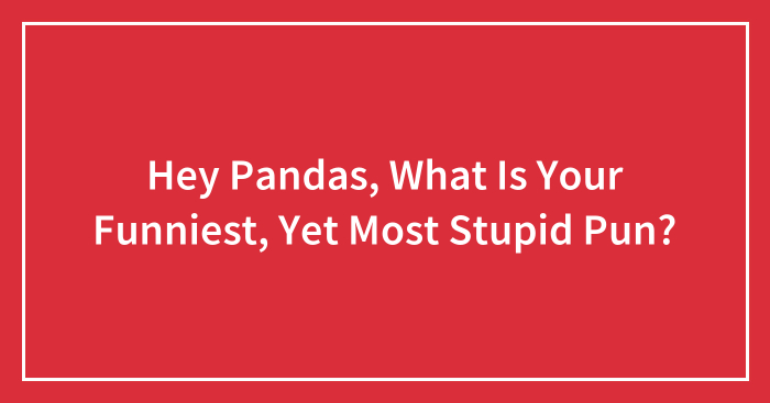 Hey Pandas, What Is Your Funniest, Yet Most Stupid Pun? (Closed)