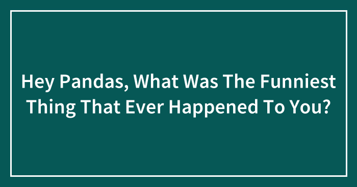 Hey Pandas, What Was The Funniest Thing That Ever Happened To You? (Closed)