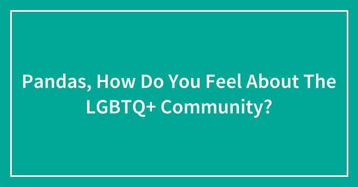 Pandas, How Do You Feel About The LGBTQ+ Community? (Closed)
