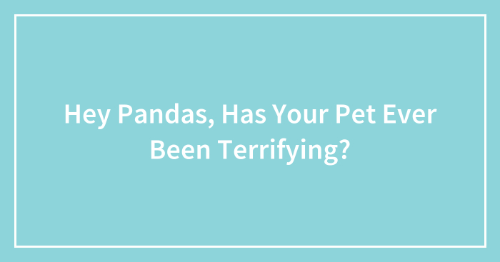 Hey Pandas, Has Your Pet Ever Been Terrifying? (Closed)