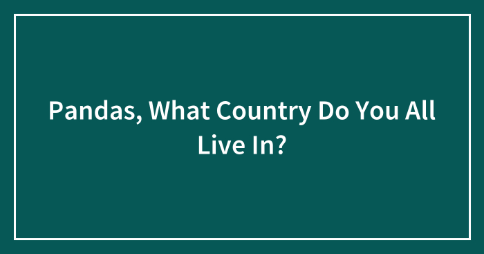 Pandas, What Country Do You All Live In? (Closed)