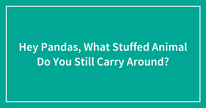 Hey Pandas, What Stuffed Animal Do You Still Carry Around?