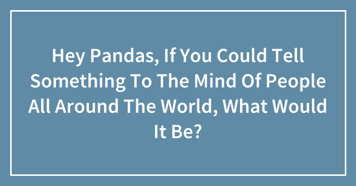 Hey Pandas, If You Could Tell Something To The Mind Of People All Around The World, What Would It Be? (Closed)