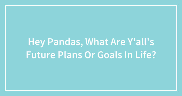 Hey Pandas, What Are Y’all’s Future Plans Or Goals In Life? (Closed)
