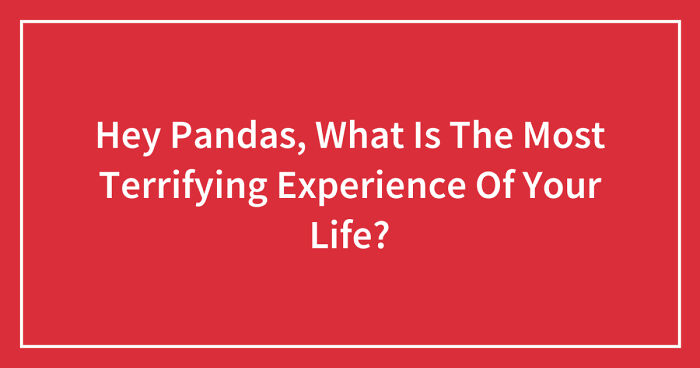 Hey Pandas, What Is The Most Terrifying Experience Of Your Life? (Closed)