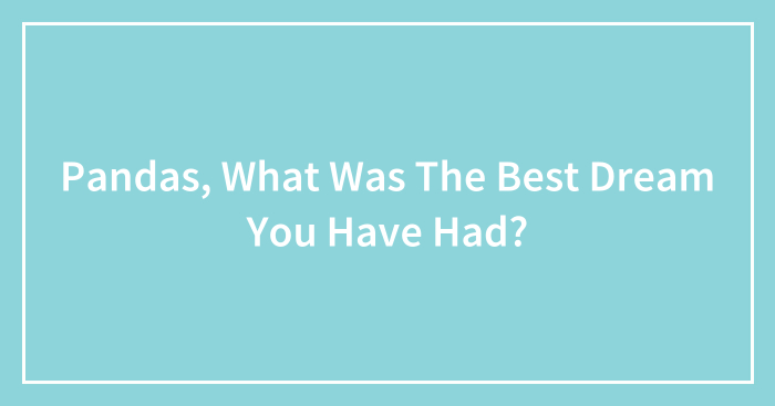 Pandas, What Was The Best Dream You Have Had? (Closed)