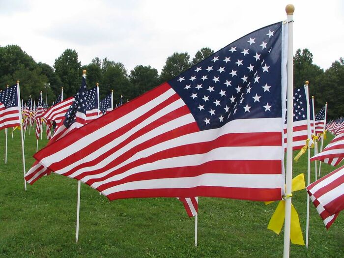 Person Asks Non-Americans To Share "Scams" That Americans Think Are Normal, And Here Are 39 Of Their Replies