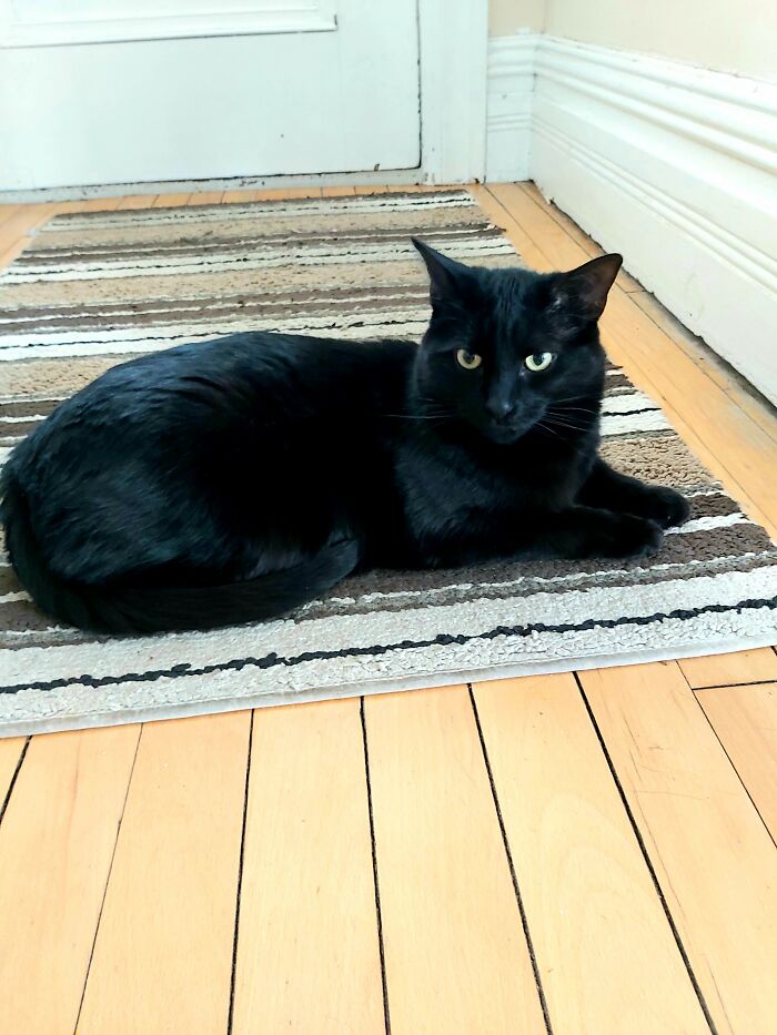 He's On Guard Duty, And Wondering Why I'm Taking His Picture.