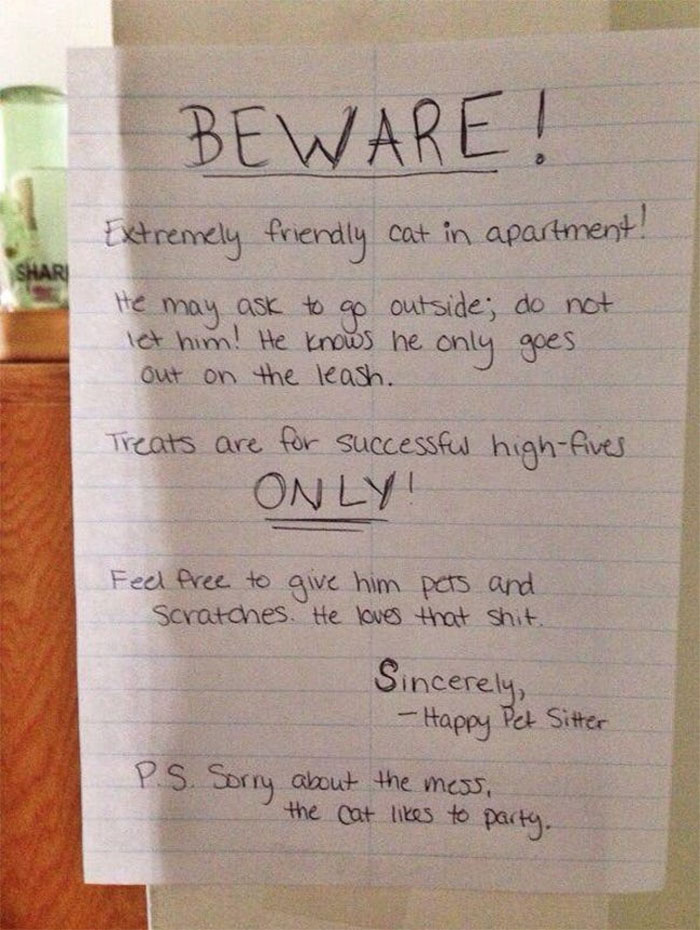 Funny-Cat-Notes-Warnings