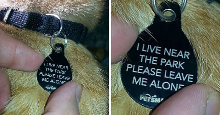 34 Times Cats Acted So Audacious That Their Owners Put Up A Sign To Warn Others About Their Ways