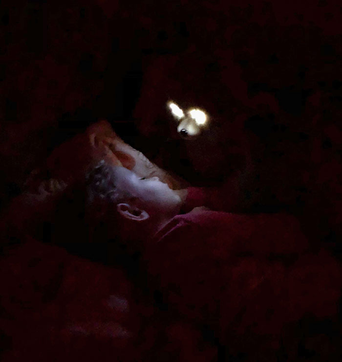 My Daughter Fell Asleep With Teddy Ruxpin Still On