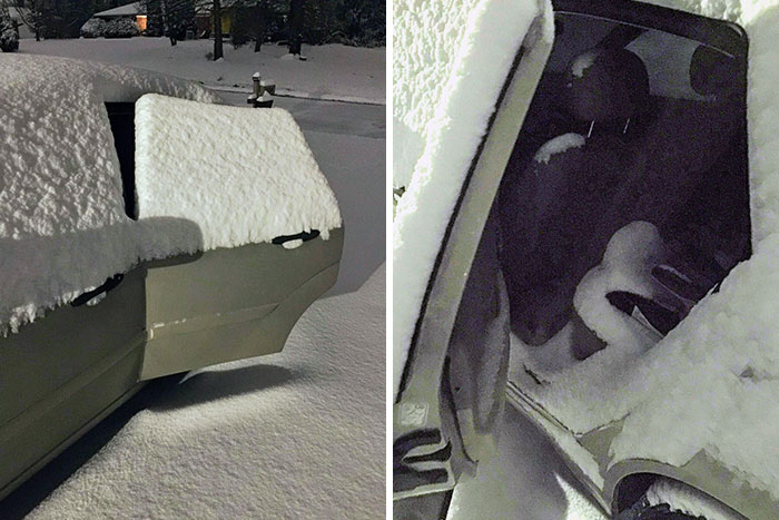 Not Sure Who Is More Dumb, My Kids For Not Shutting The Door, Or Me For Not Making Sure It Got Shut