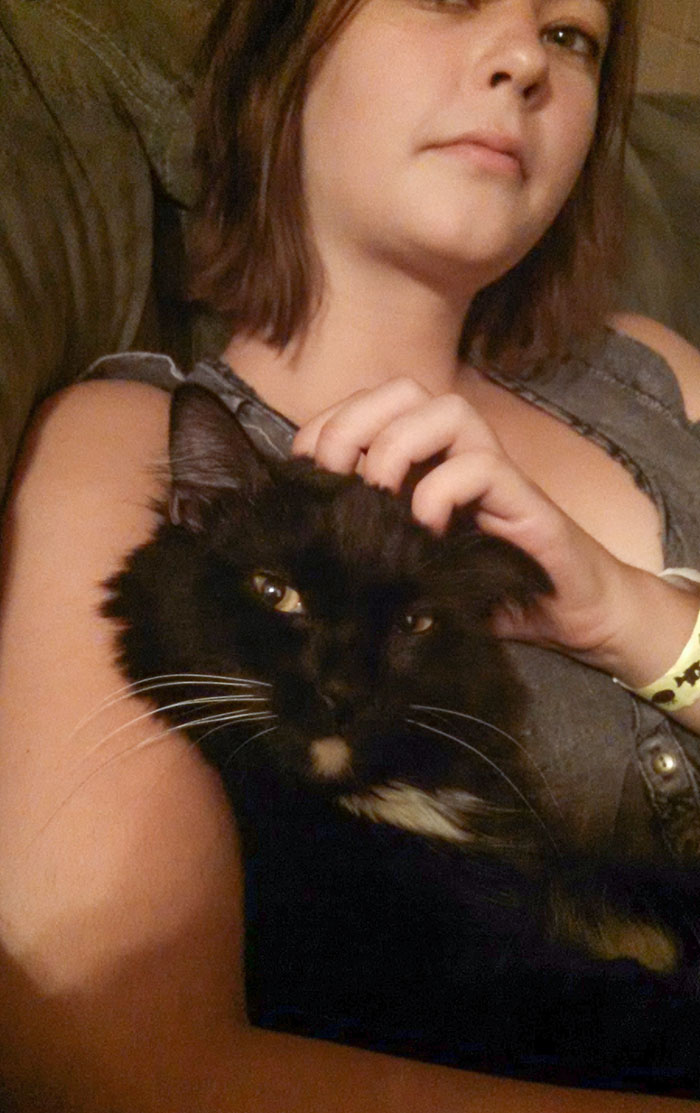 My Cat Is Stealing My Girlfriend And He Knows It