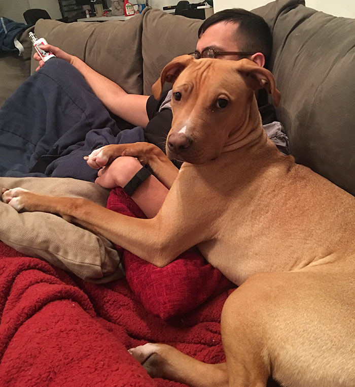 I Swear She’s Trying To Steal My Boyfriend