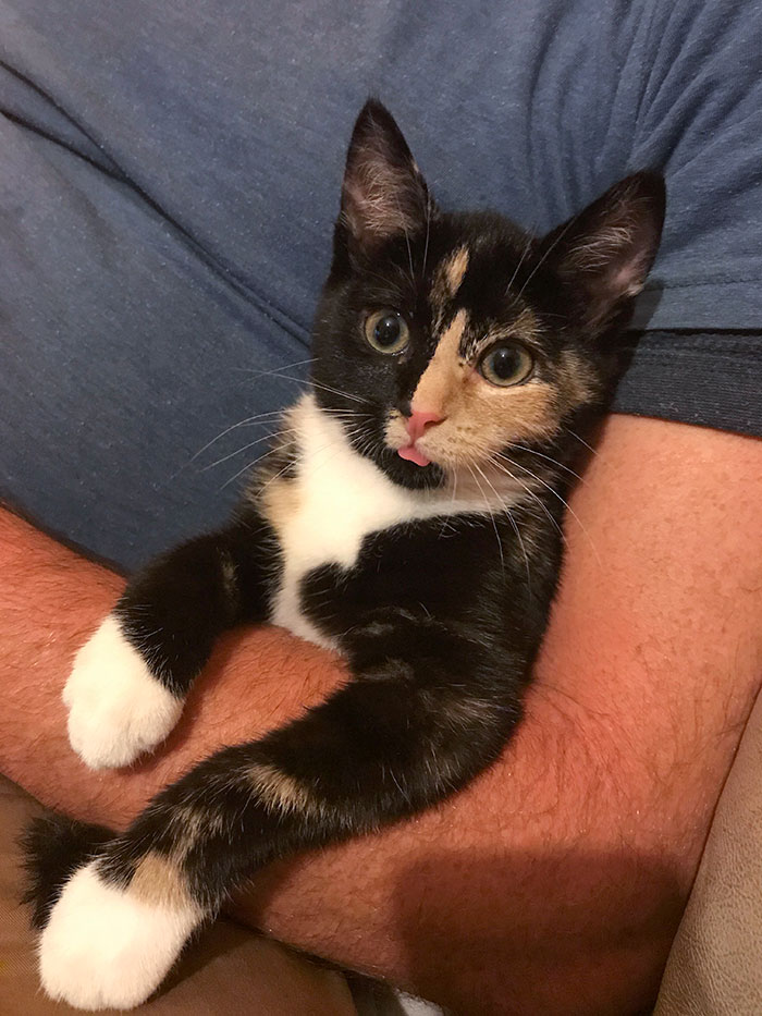 This Little Derp Has Stolen My Boyfriend