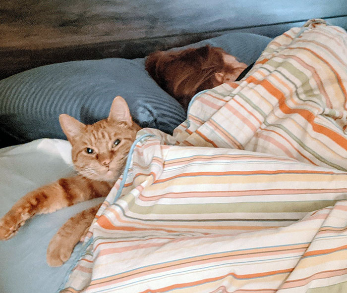 This Is Max. Mr Steal My Wife