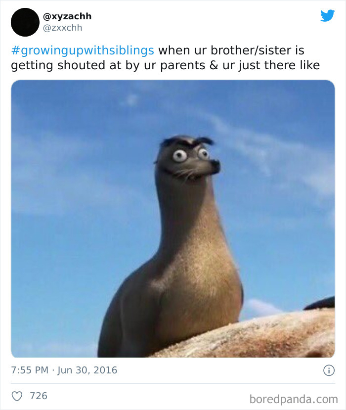 Funny-Siblings-Tweets