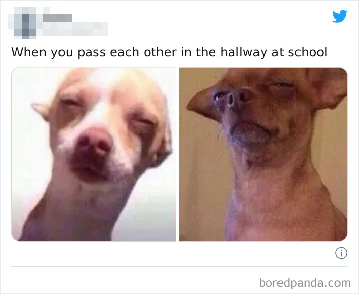 Funny-Siblings-Tweets