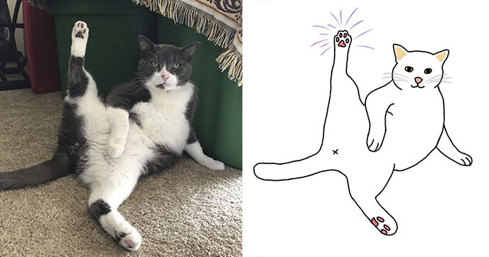 Artist Transforms Funny Cat Pics Into Illustrations And Here Are 70 Of The Best Ones