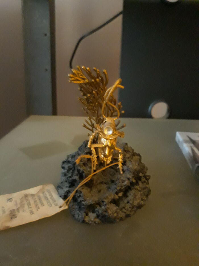 Goldern Cockroach Drinking A Beer