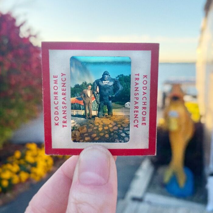 Photographer Shows Slides From The Past On Current Photographs Recording The Feeling Of The Passage Of Time