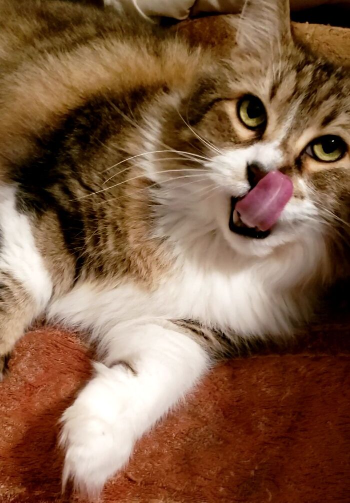 He Sat Here Like This For About 5 Minutes. I Even Looked To Make Sure He Wasn't Hurt, Didn't Have A Booger Up His Nose, Wasn't Choking On Snot. He'd Get Mad If I Disturbed This. This Is Why I Didn't Have Kids