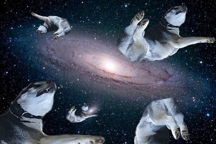 I Don't Know What I Created, But I Kinda Like It