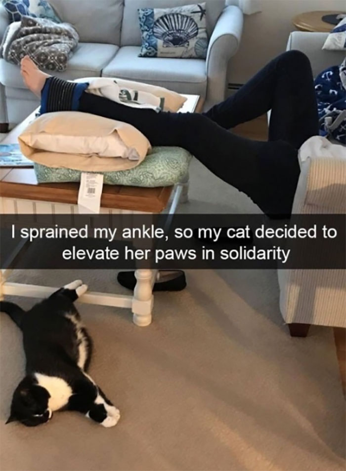 What A Sweet Gesture