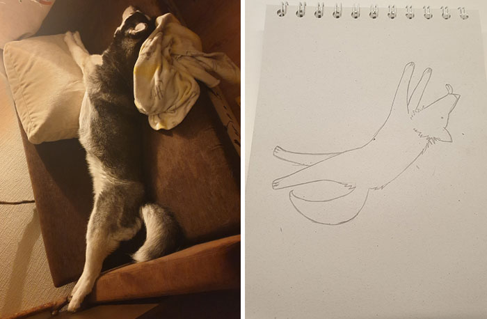 Hey Pandas, Make A Funny Picture Of Dogs (Closed)