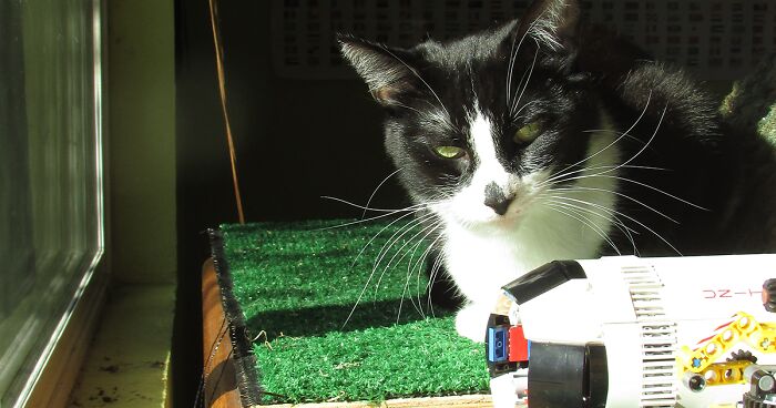 Hey Pandas, Show Your Favorite Place In Your House (Closed)