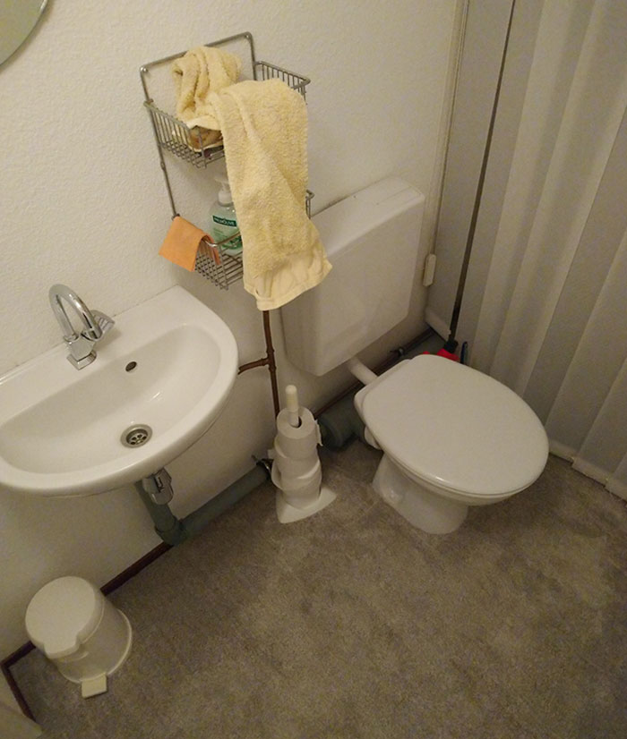 So My Dad Renovated The Bathroom Upstairs With. Carpet. I Hate It